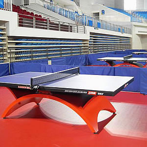 其它運(yùn)動場地 Table tennis