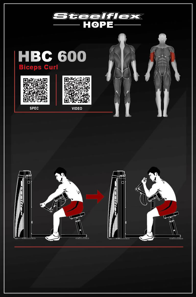 Steelflex HBC600 二頭肌訓(xùn)練器
