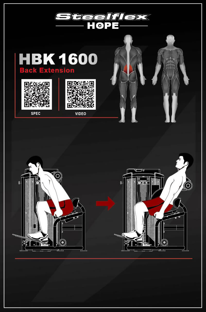 Steelflex HBK1600 坐姿背部擴展訓練器