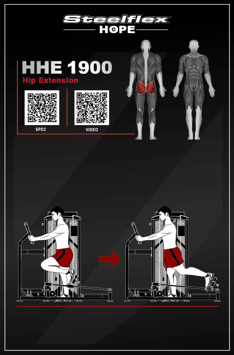 Steelflex HHE1900 后蹬腿/臀部擴展練習器