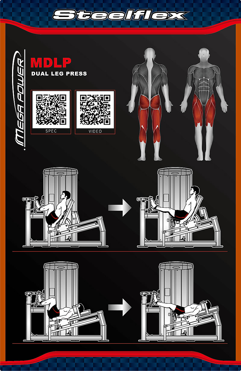 Steelflex MDLP 坐式提踵/蹲腿訓(xùn)練器